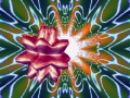 Vorschaubild der Version vom 14:45, 17. Mär. 2009